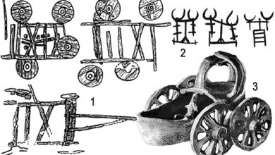 Photo of Как древние перевозили товары