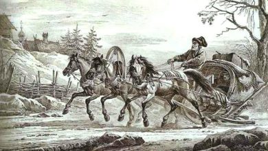 Photo of История грузоперевозок в древности