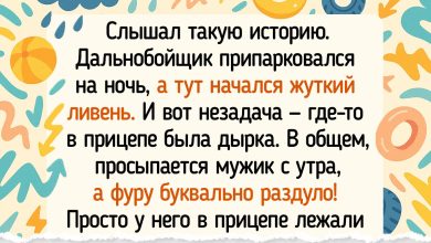 Photo of Истории успеха дальнобойщиков