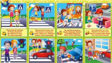 Photo of Техника безопасности на дороге