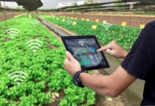 Photo of Логистика в сельском хозяйстве