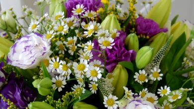 Photo of Экспресс доставка цветов Москва